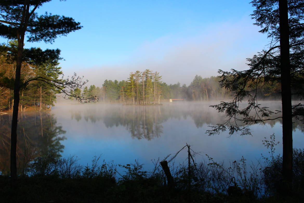 early-morning-lake.jpg